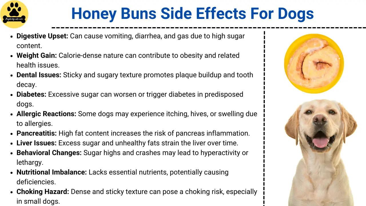 Honey Buns Side Effects For Dogs