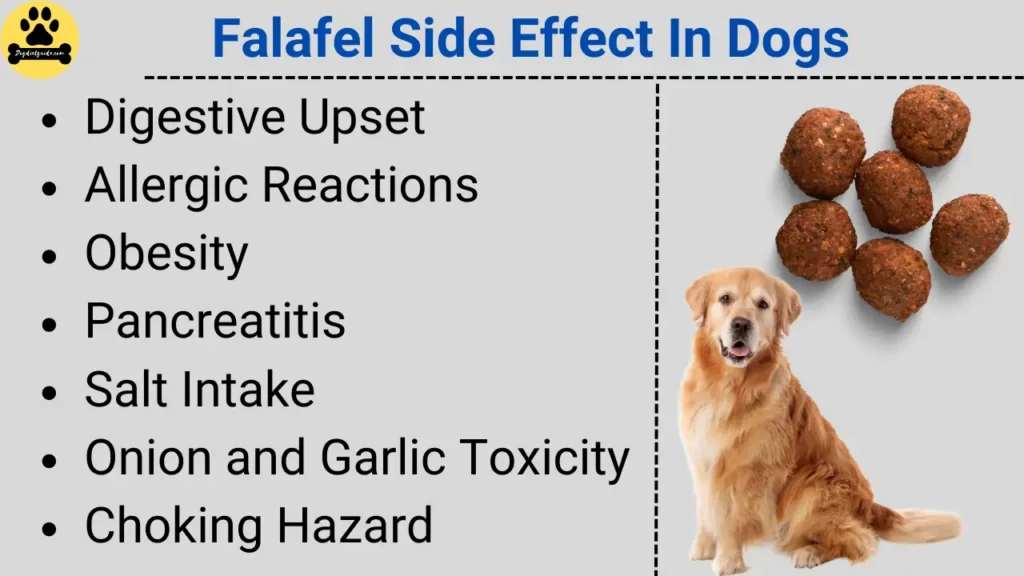 Falafel Side Effect In Dogs