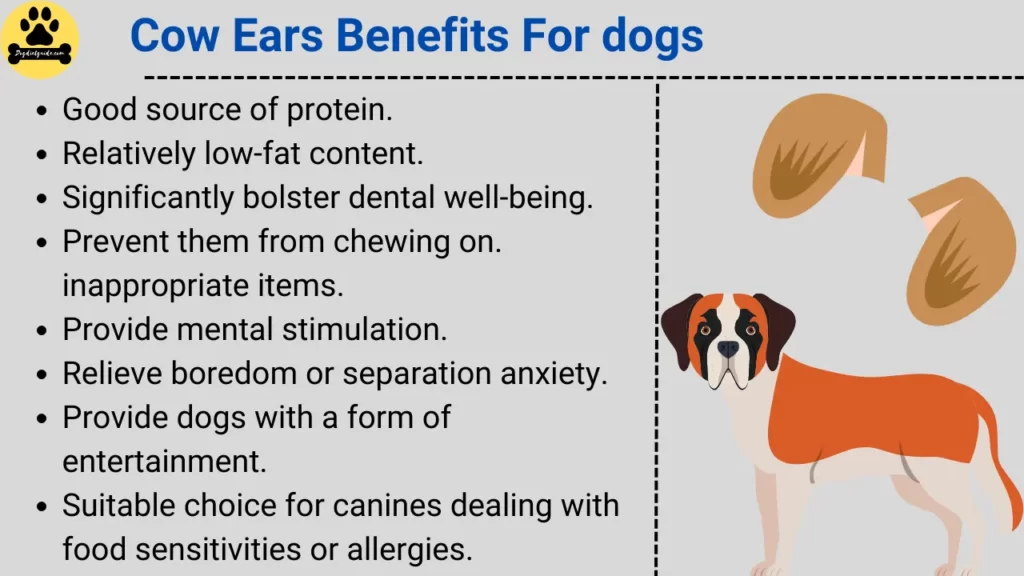 cow ears Benefits for dogs