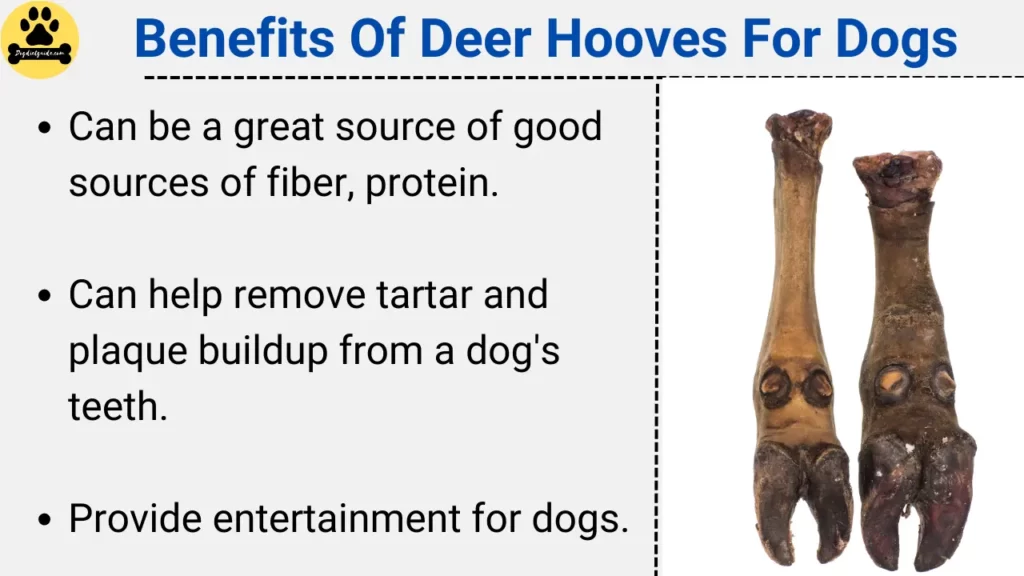 Benefits of deer hooves for dogs