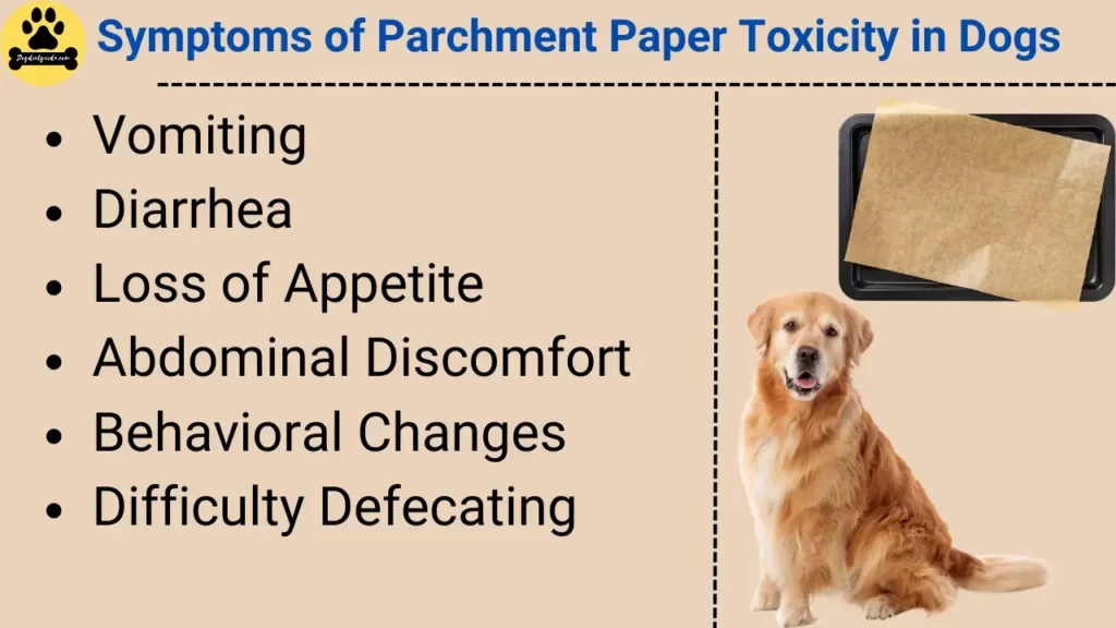 Symptoms of Parchment Paper Toxicity in Dogs