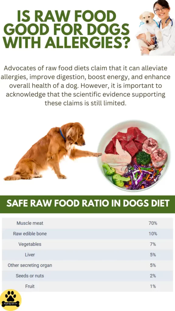 Is Raw Food Good for Dogs with Allergies