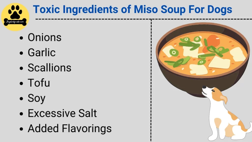 Toxic Ingredients of Miso Soup For Dogs