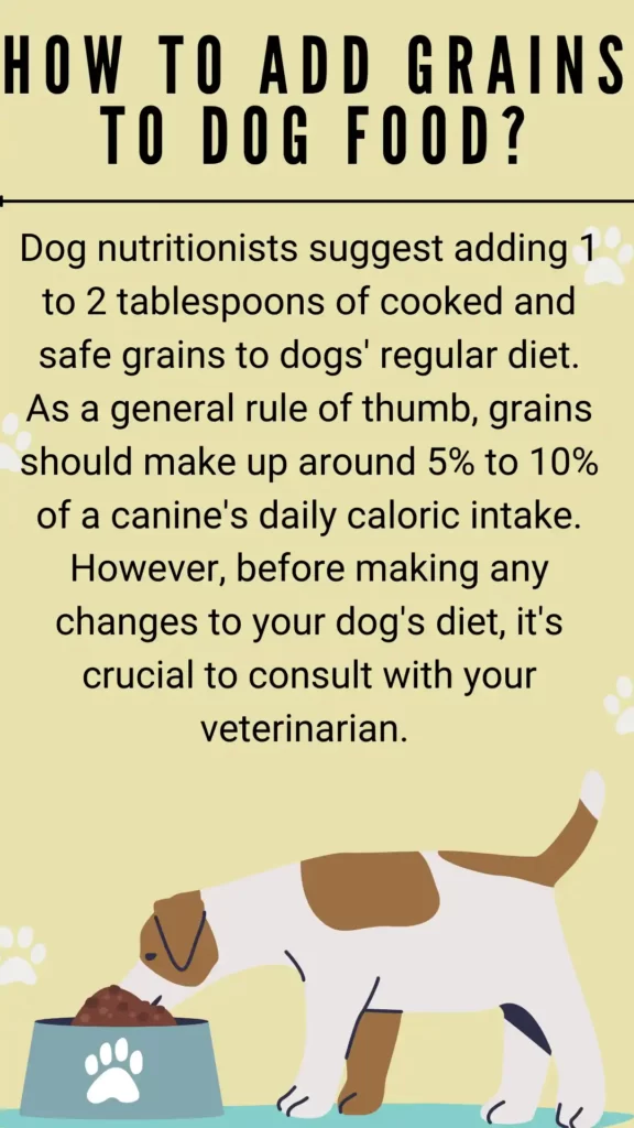 How To Add Grains To Dog Food
