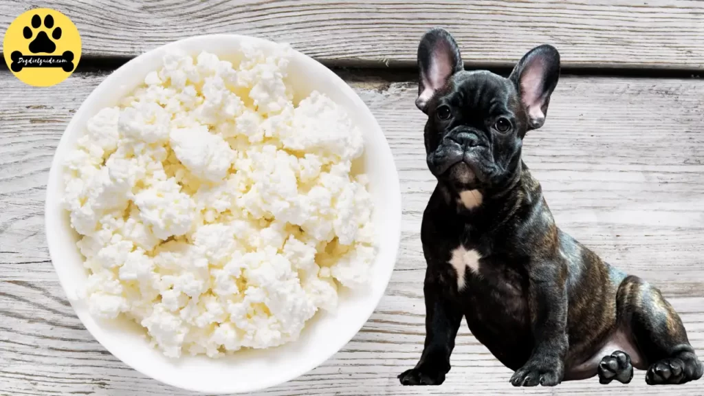 Is Cottage Cheese Good For Dogs With Diarrhea?