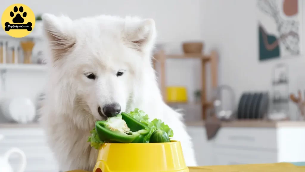 dog eating  vegetables 