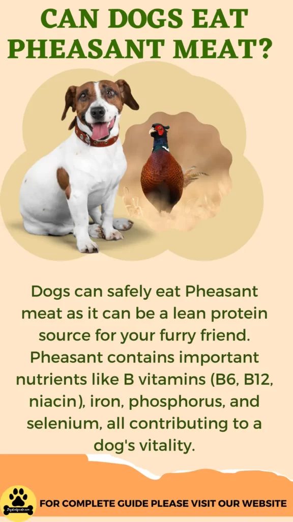 Can Dogs Eat Pheasant