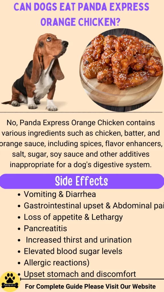 Can Dogs Eat Panda Express Orange Chicken