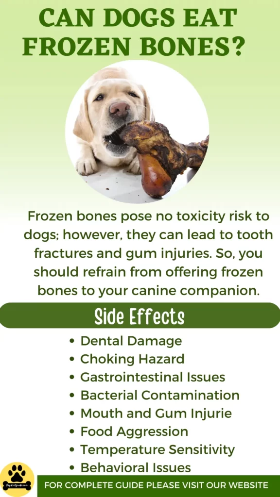 Can Dogs Eat Frozen Bones
