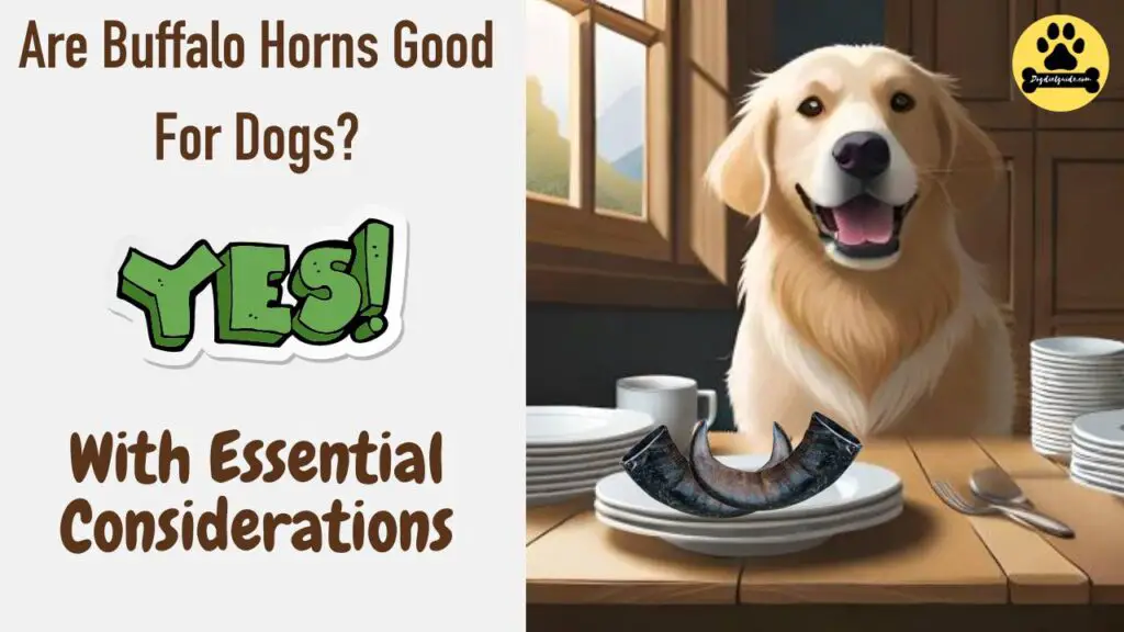 Are Buffalo Horns Good For Dogs