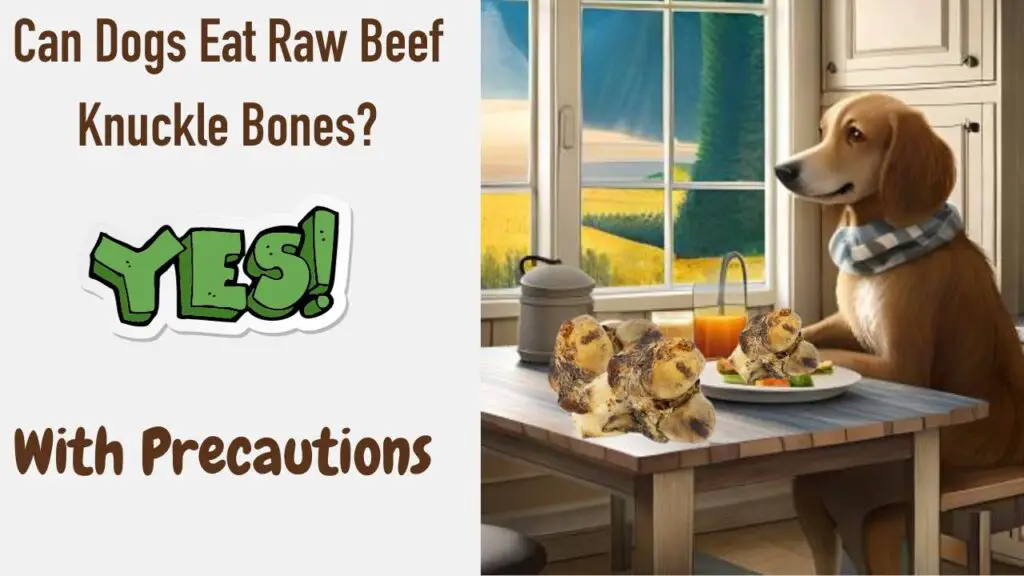 Can Dogs Eat Raw Beef Knuckle Bones