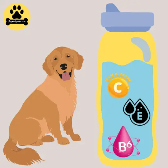 Vitamin Water for dogs