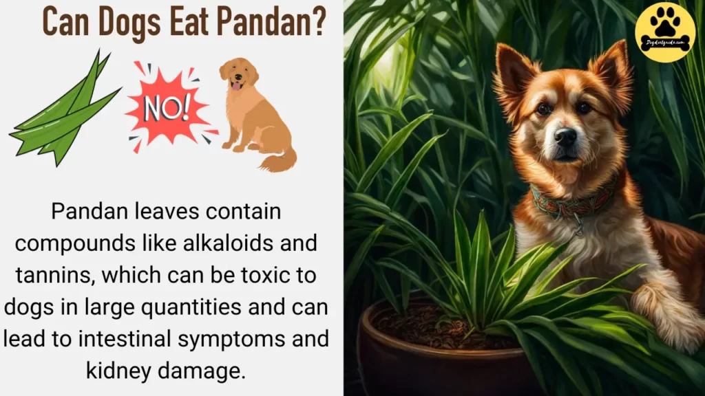 Can Dogs Eat Pandan
