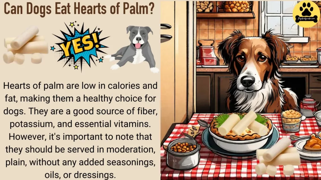 Can Dogs Eat Hearts of Palm