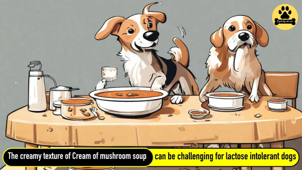Cream of Mushroom Soup  for dogs