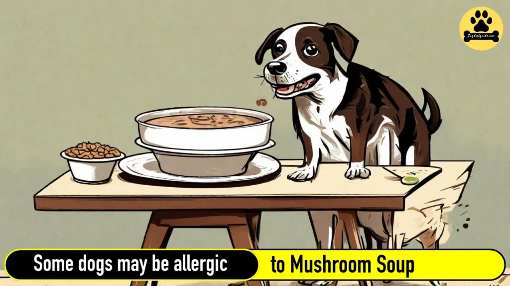 dog with Cream of Mushroom Soup