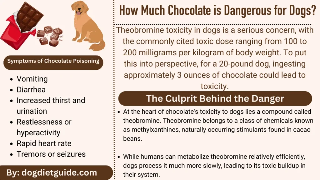 How Much Chocolate is Dangerous for Dogs infographic 