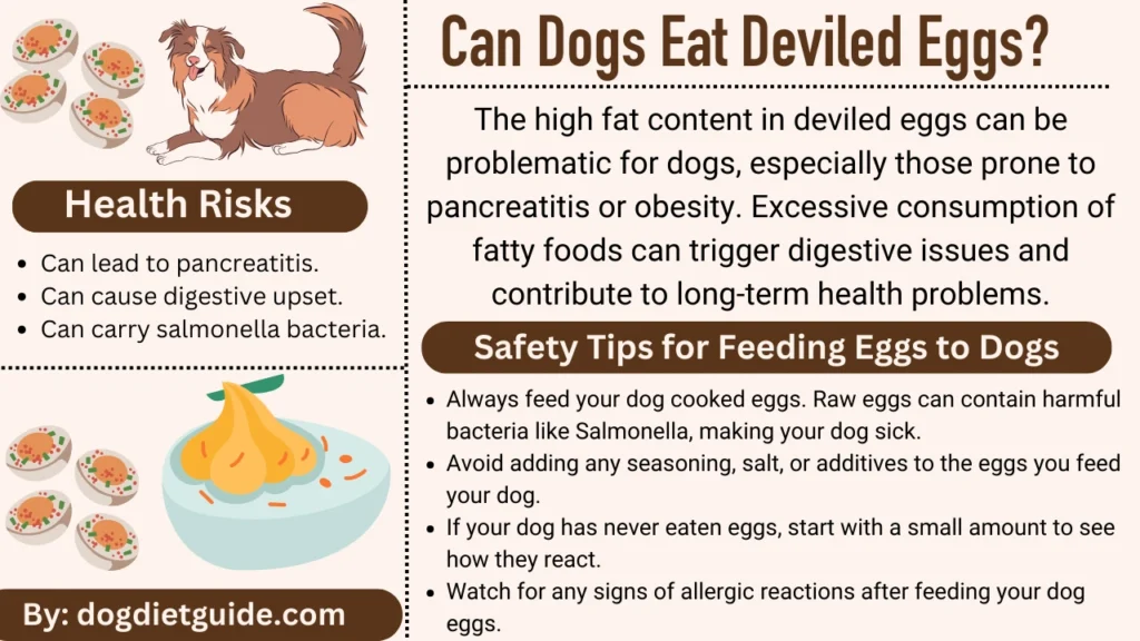 Can Dogs Eat Deviled Eggs infographic 