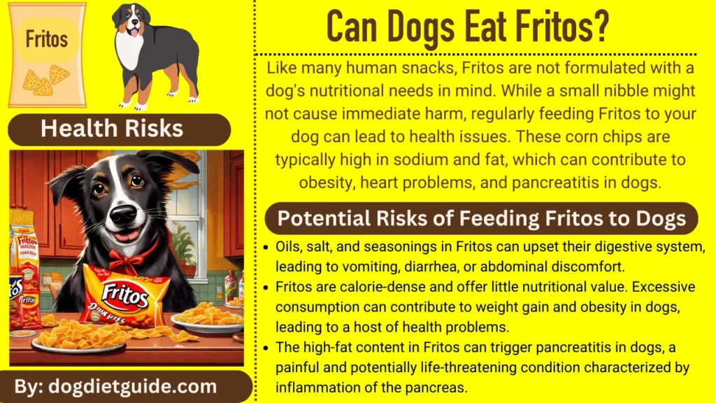 Can Dogs Eat Fritos infographic 